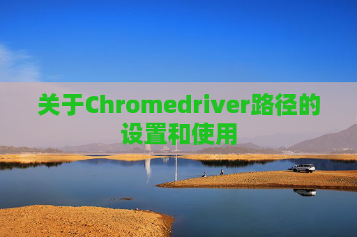 关于Chromedriver路径的设置和使用